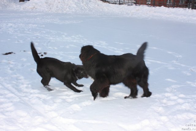 Фото: Natal'ya Novikova (Наталья Новикова)