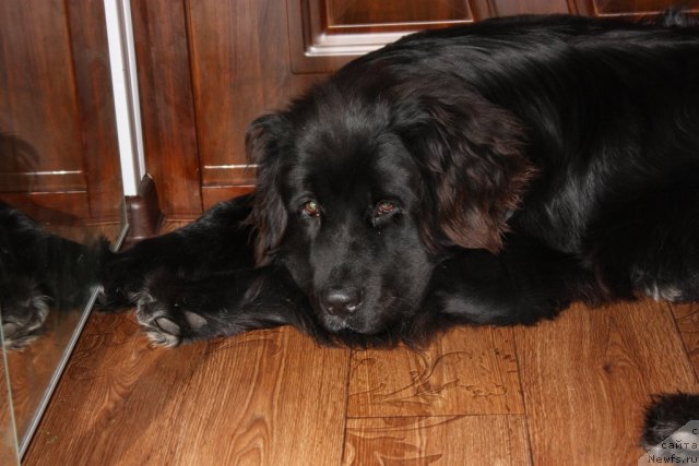 Фото: Natal'ya Novikova (Наталья Новикова)