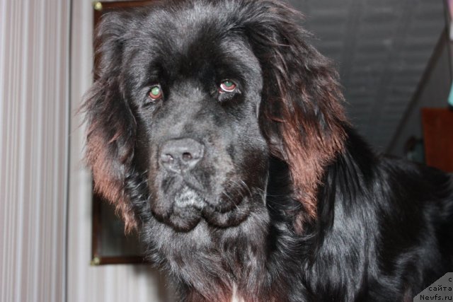 Фото: Natal'ya Novikova (Наталья Новикова)