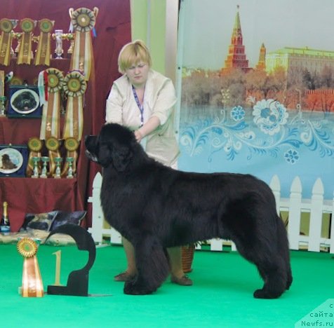 Фотография № 91172