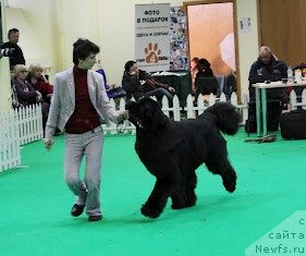 Фотография № 91173