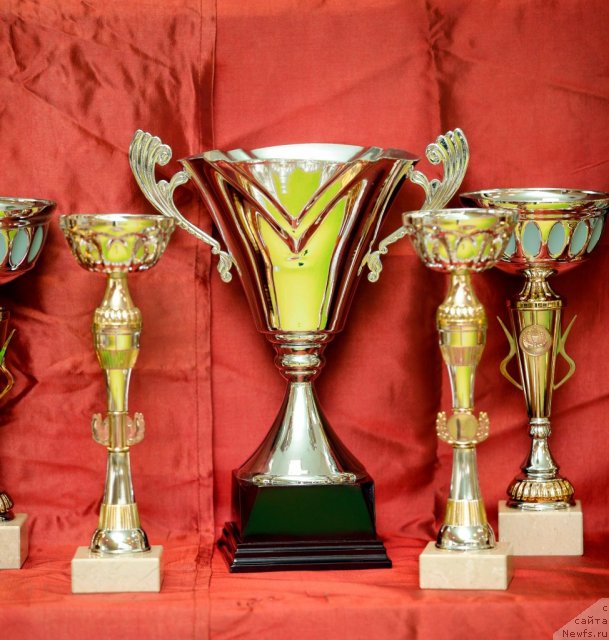 Фотография № 91199