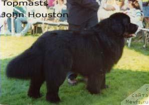 Фото: ньюфаундленд Topmast's John Houston