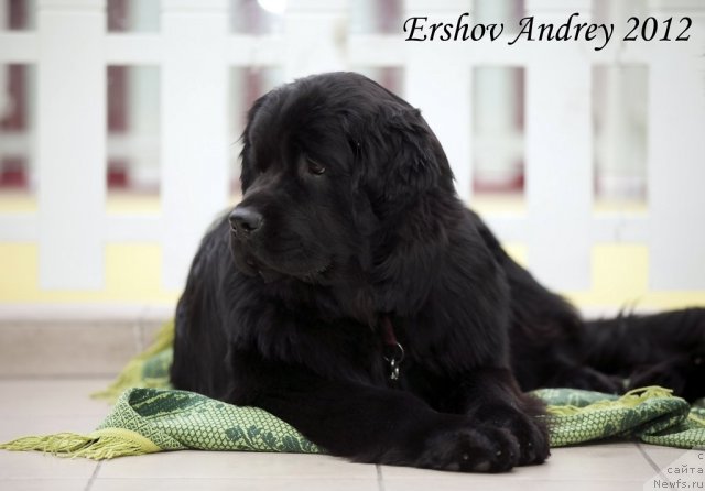 Фотография № 91200