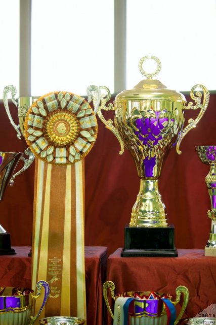 Фотография № 91204