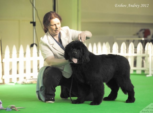 Фотография № 91214