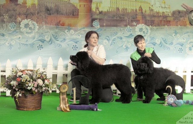 Фотография № 91219