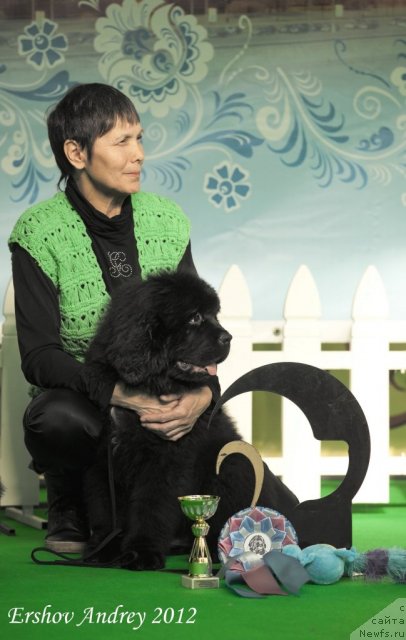 Фотография № 91221