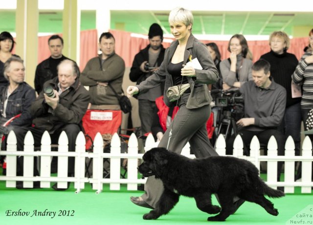 Фотография № 91223