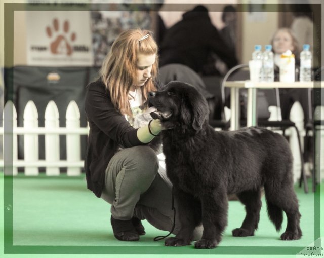 Фотография № 91225