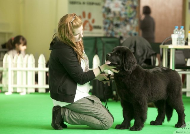 Фотография № 91227