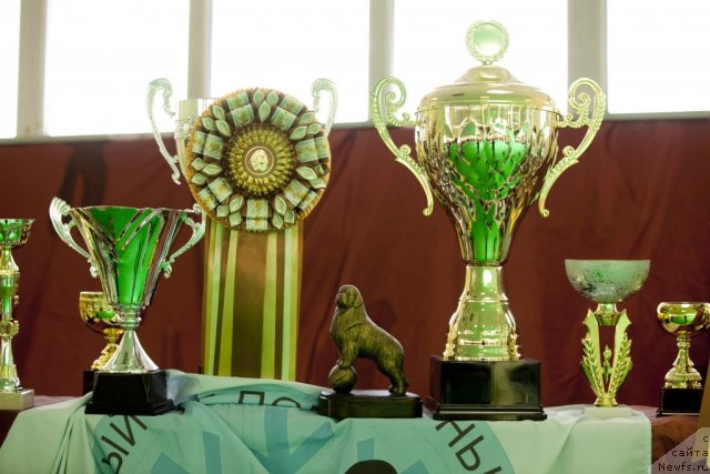 Фотография № 91228