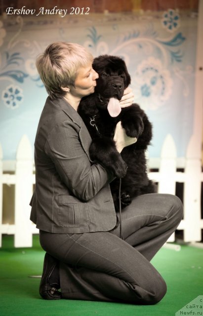 Фотография № 91234