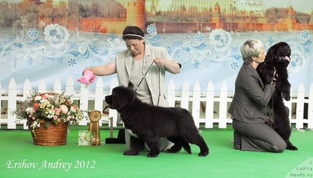 Фотография № 91235