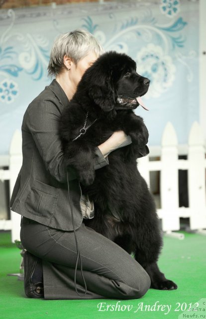 Фотография № 91236