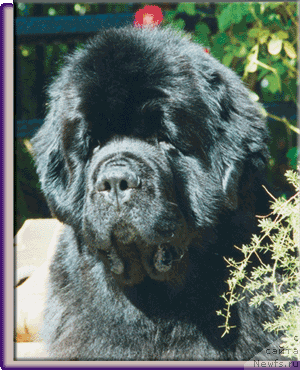 Фотография № 9124