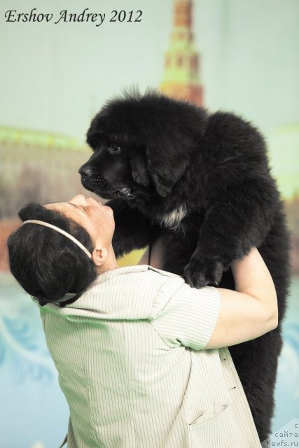 Фотография № 91241