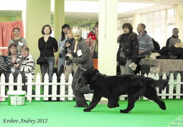 Фотография № 91243