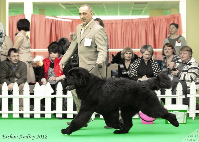 Фотография № 91244