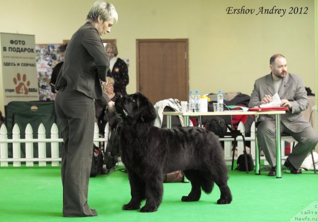 Фотография № 91245