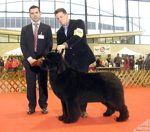 Фото: Skipper's King of Helluland