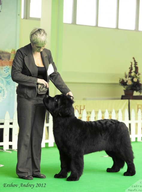 Фотография № 91250