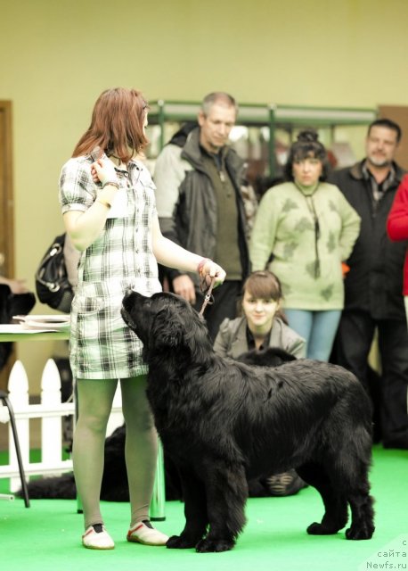 Фотография № 91251