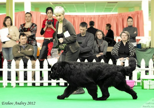 Фотография № 91252