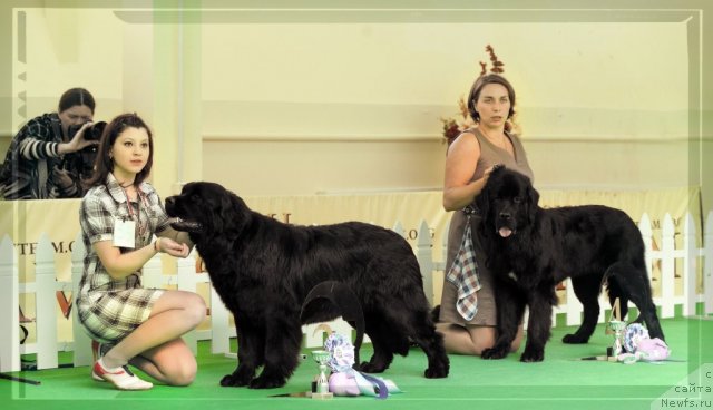 Фотография № 91259