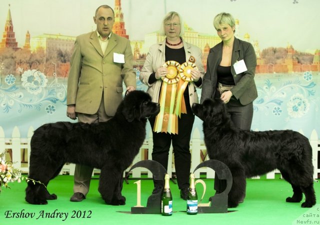 Фотография № 91261