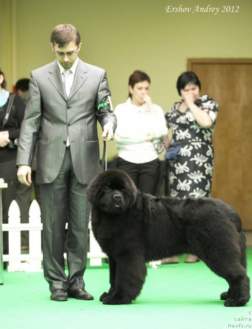 Фотография № 91263