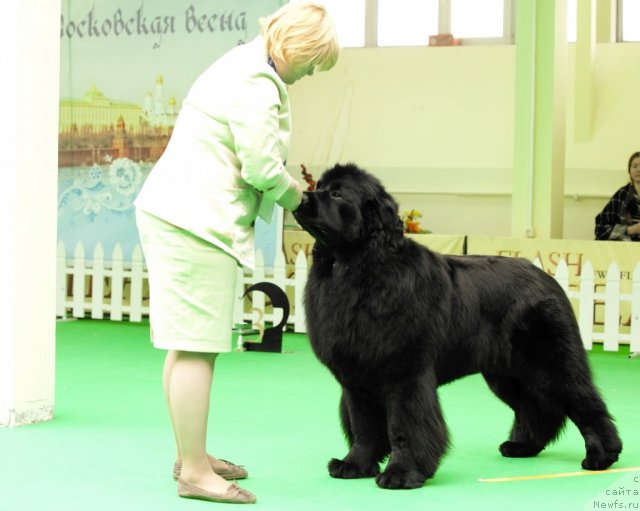 Фотография № 91265