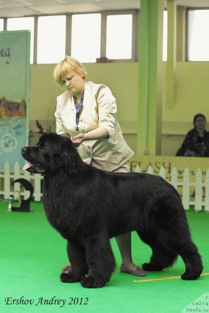 Фотография № 91266