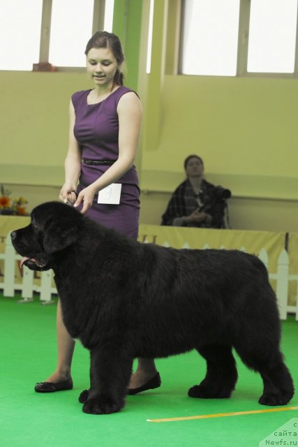 Фотография № 91267