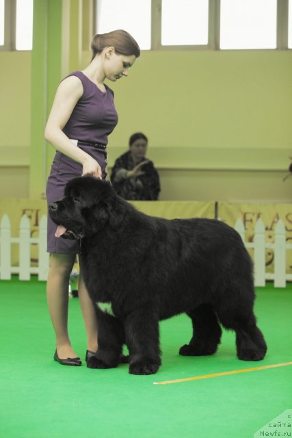 Фотография № 91268