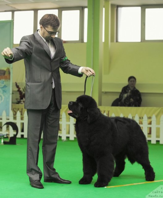 Фотография № 91269