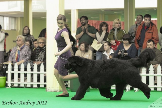 Фотография № 91276