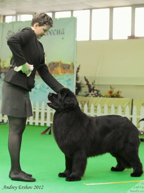 Фотография № 91292