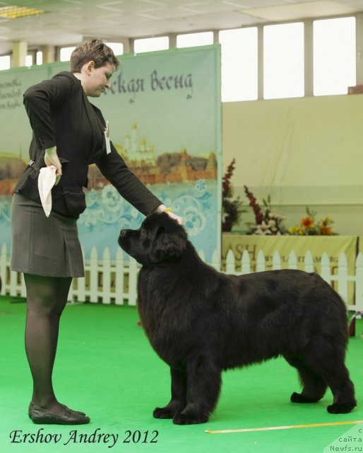 Фотография № 91293