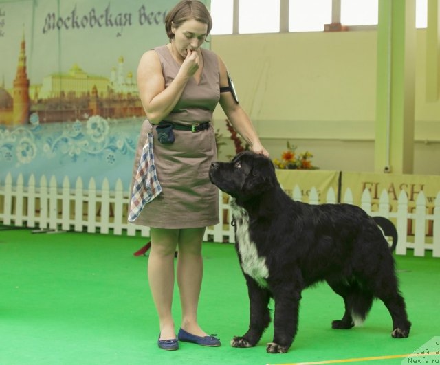 Фотография № 91294