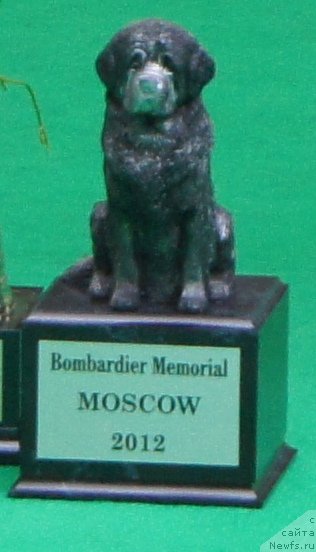 Фотография № 91351