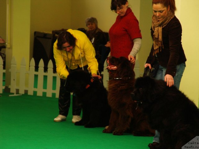 Фотография № 91370