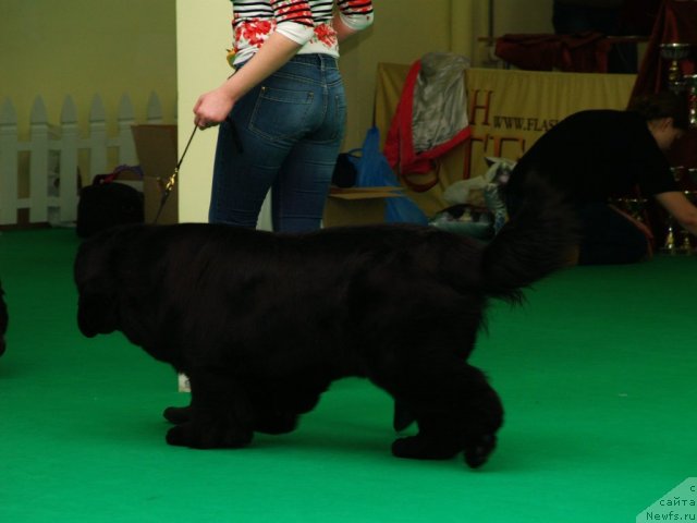 Фотография № 91373