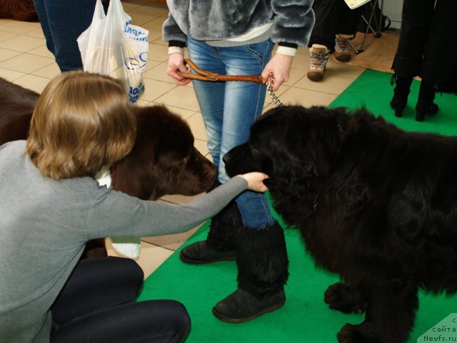 Фотография № 91374