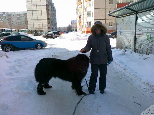 Фото: Парти и ...весна в нашем городе.