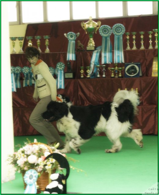 Фотография № 91406