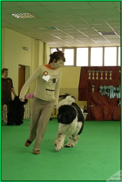 Фотография № 91410