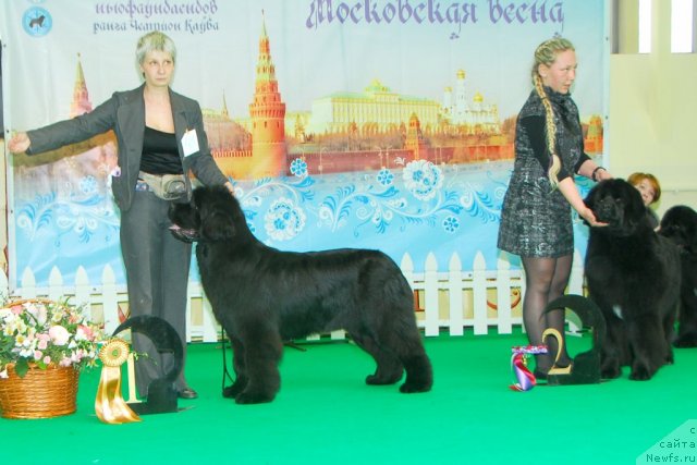 Фотография № 91414