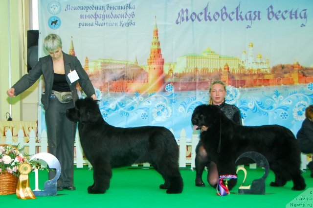 Фотография № 91415