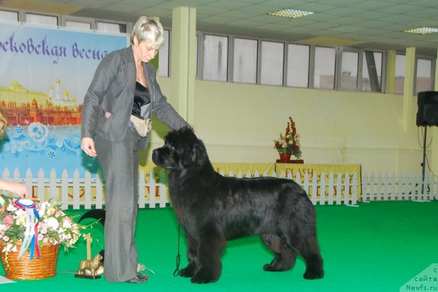 Фотография № 91416